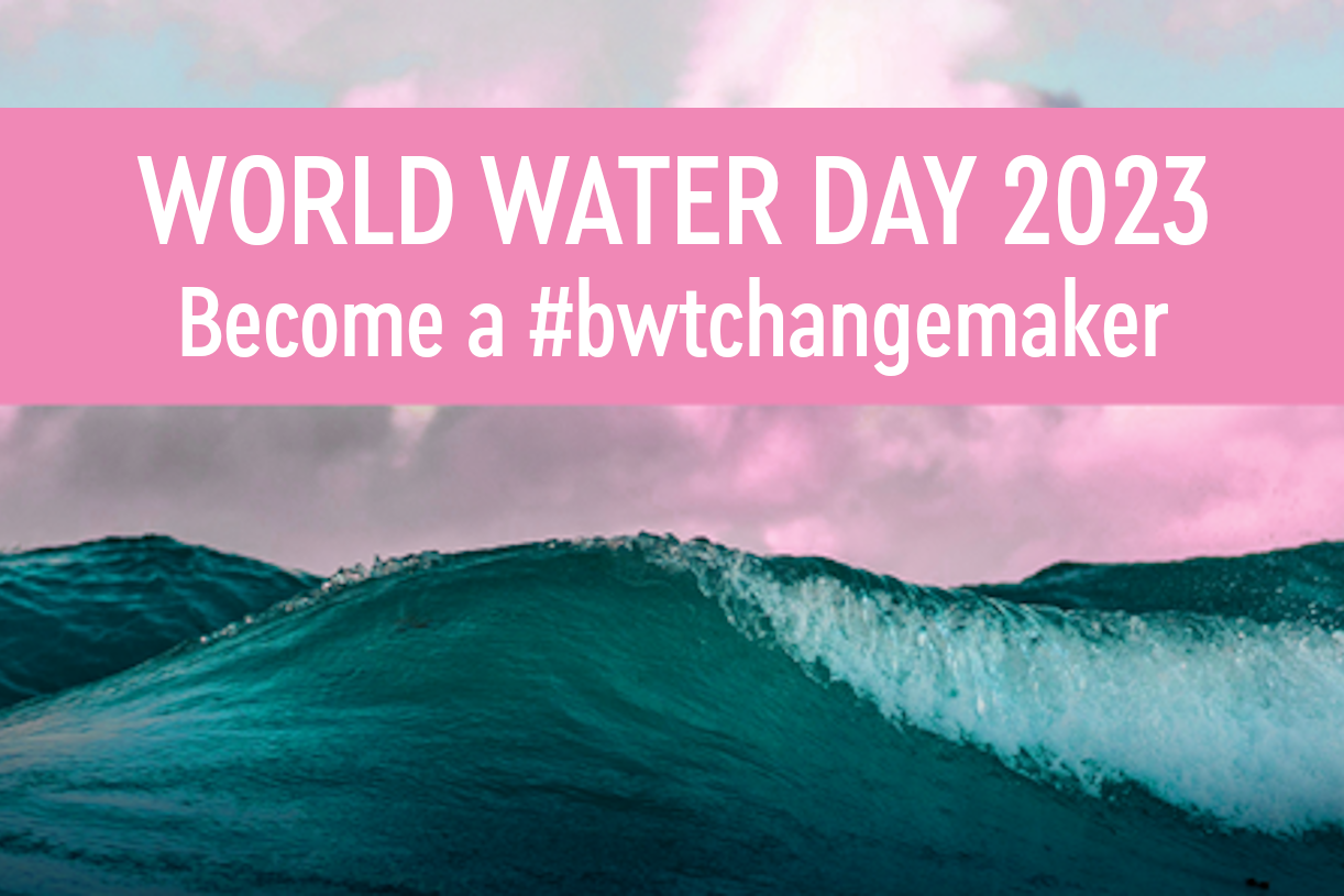 World Water Day Be a Change Maker BWT